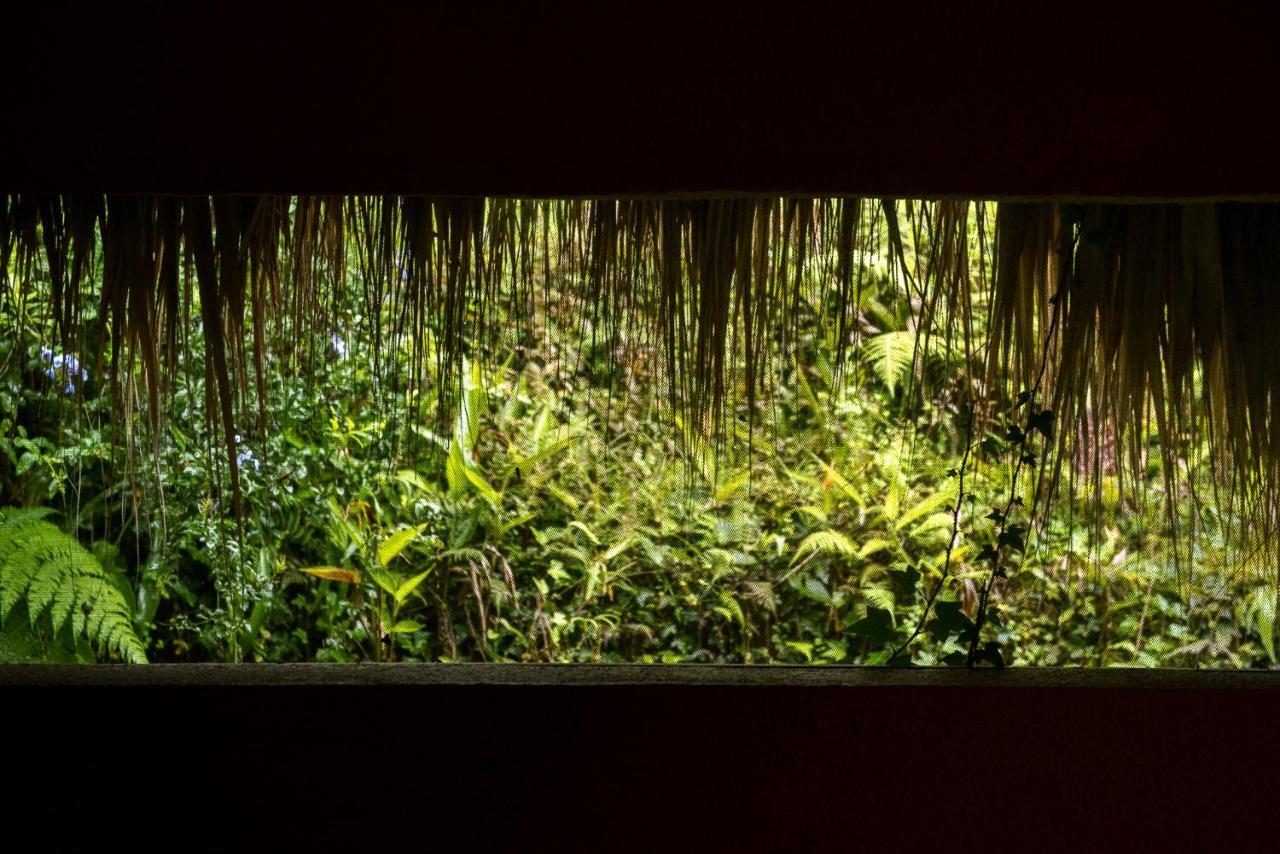 米卡Sierra Alta Finca Boutique别墅 外观 照片